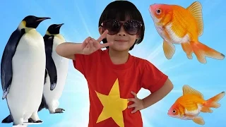 AnAn Đi Chơi Thủy Cung Xem Chim Cánh Cụt Và Xem Cá ❤ AnAn ToysReview TV ❤