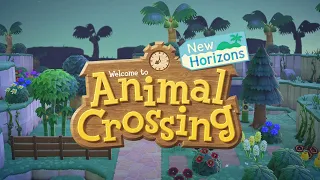 Animal Crossing: New Horizons - 5AM