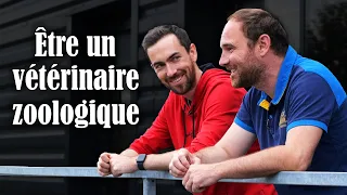 Une clinique zoologique unique au monde ! (Beauval)