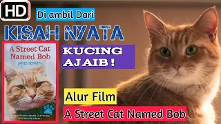 Mengharukan 😭😭😭 Kucing Penyelamat Ny4wa Seorang P3c4ndu N4rkob4 ][ Alur Film A street Cat Named Bob!