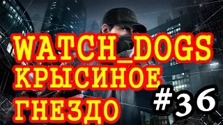 Прохождение Watch Dogs - Крысиное гнездо #36