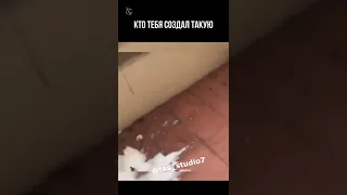 Кто тебя создал такую😁