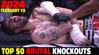 Top 50 Knockouts of February 2024 #5 (Muay Thai•MMA•Kickboxing•Boxing)