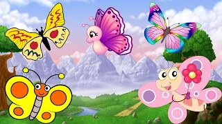 Butterfly Finger Family Nursery Rhyme | Birds Cartoon Finger Family Rhymes