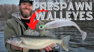 Prespawn Walleyes | Mississippi River Walleyes on Plastics |  Fishing the Spring Walleye Run