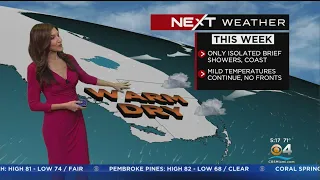 NEXT Weather - Miami + South Florida Forecast - Wednesday Morning 12/7/22