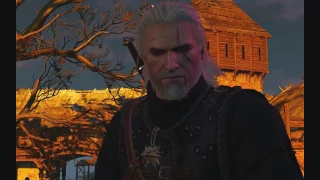 The Witcher 3. Уродец / Помехи