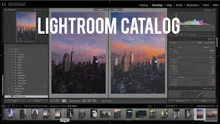 How to Create a Lightroom Catalog! (Adobe Lightroom CC Tutorial)