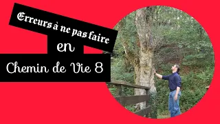 🐲❤🙏 Que signifie être en CHEMIN DE VIE 8 ? 🙏❤🐲