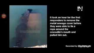 Giant croc carries dead man’s body through Mexican lagoon.