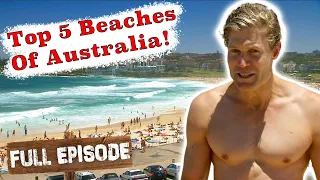 Chris Checks Out Australias Top 5 Best Beaches! 🏖  | Travels With The Bondi Vet S02 E11| Untamed