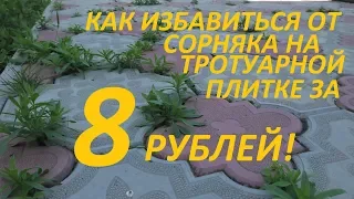 Как избавиться от сорняка на тротуарной плитке за 8 рублей