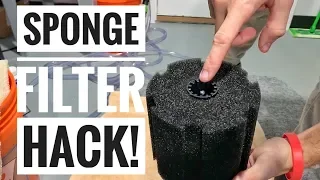 SPONGE FILTER HACK! | Aquarium Hints & Tips