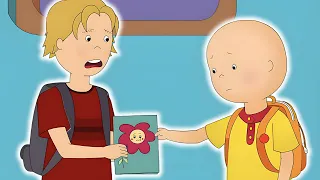 The Apology | Caillou Cartoon