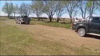 Toyota Hilux Vs. Vw Amarok