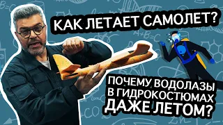 Что помогает самолету держаться в воздухе? / Проверено наукой