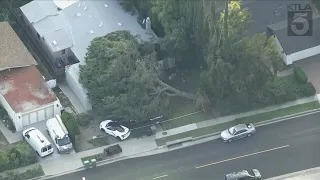 Tree comes down on home in Diamond Bar