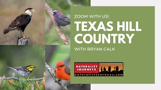 ZOOM WITH US: Exploring Texas Hill Country with Bryan Calk | Birdwatching & Nature Tour
