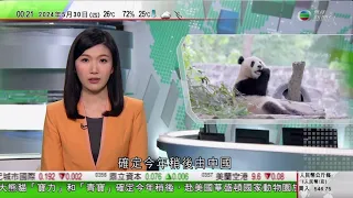 無綫TVB 0030新聞報道｜數據顯示今年首季澳門成內地旅客最滿意目的地 香港降至第七｜大熊貓「寶力」及「青寶」今年稍後赴美國｜習近平稱願與埃及推進合作 「兩國方案」為解決巴勒斯坦問題根本出路｜