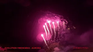 Evolution Fireworks Aurora 64 Shot Barrage