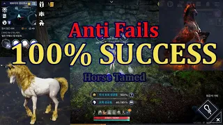 Black Desert Mobile - 100% Success Chances