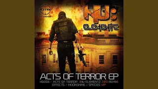 Acts of Terror (Nu Elementz 2013 Remix)