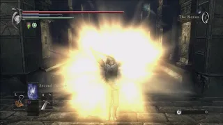 Praise the sun gesture in Demon´s Souls (PS3)