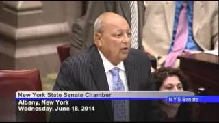 New York State Senate Session - 06/18/14