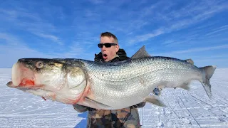 4 Day Fishing + Hunting Catch & Cook in an Inuit Village (Best Ice Fishing in the World)