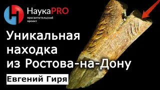 Древнейшие следы человека в Евразии возрастом 2 млн лет: кость из Ростова-на-Дону – Евгений Гиря