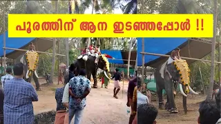 പൂരത്തിന് ആന ഇടഞ്ഞപ്പോൾ 😱😱 | ആന പാപ്പാനെ എടുത്തെറിഞ്ഞു 😳| Kerala Elephant Attack #ponnani #elephant