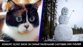 КОНКУРС SLIVKI SHOW ЗА САМЫЙ МАЛЕНЬКИЙ СНЕГОВИК 2020