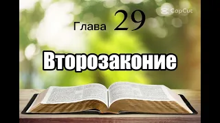 Библия, Второзаконие, глава 29