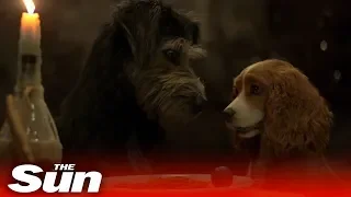 Lady and the Tramp (2019) Official Trailer