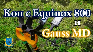 Коп с Equinox 800 и Gauss MD. Скифы,цари...