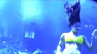 Underwater Date at a Spring