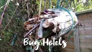 Bug Hotel - #HillsAtHome