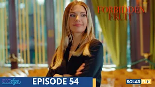 Forbidden Fruit Episode 54 | FULL EPISODE | TAGALOG DUB | Turkish Drama