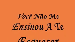 Caetano Veloso - Você Não Me Ensinou A Te Esquecer