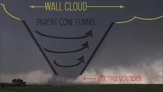 The Anatomy of the Life of a Supercell