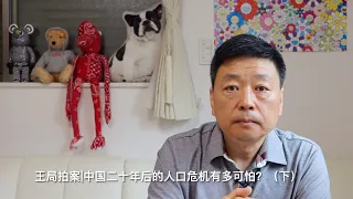 王局拍案|中国二十年后的人口危机有多可怕？220712（下）How terrible will China's demographic situation be in twenty years?（2）