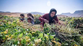 A Journey to Self-Sufficiency on the Bean Farm: Resilient Mother and Children