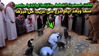 إمرأة سعودية ماتت فحضرت القطط جنازتها لياخذوا حقهم منها وبعد ايام خرج شئ مرعب من قبرها ؟ سبحان الله