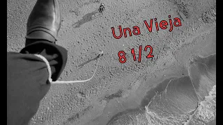 8 1⁄2  - OCHO Y MEDIO - DECIR TODO CUANDO NO SE PUEDE DECIR NADA. #UnaVieja #fellini