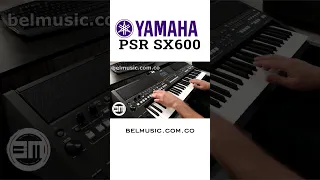 Teclado Yamaha PSR SX600 #shorts