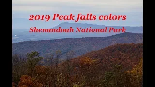 Beautiful Fall Colors in Shenandaoh National Park