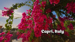 Capri, Italy travel 🇮🇹 2023 4K 60fps HDR ASMR Rain Walking Tour (▶︎66min)