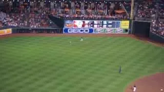 Seagull lands on field at Orioles game 08/14/13