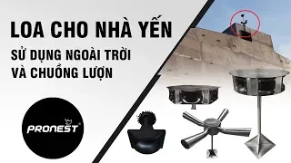 Các Loại Loa Nhà Yến Chuyên Dụng Sử Dụng Ngoài Trời Và Trong Chuồng Lượn