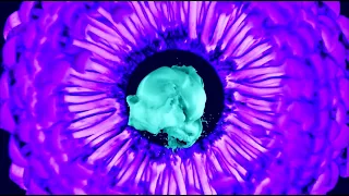 Trippy Visual - Drug Hallucinations - 1200 micrograms magic mushrooms music video